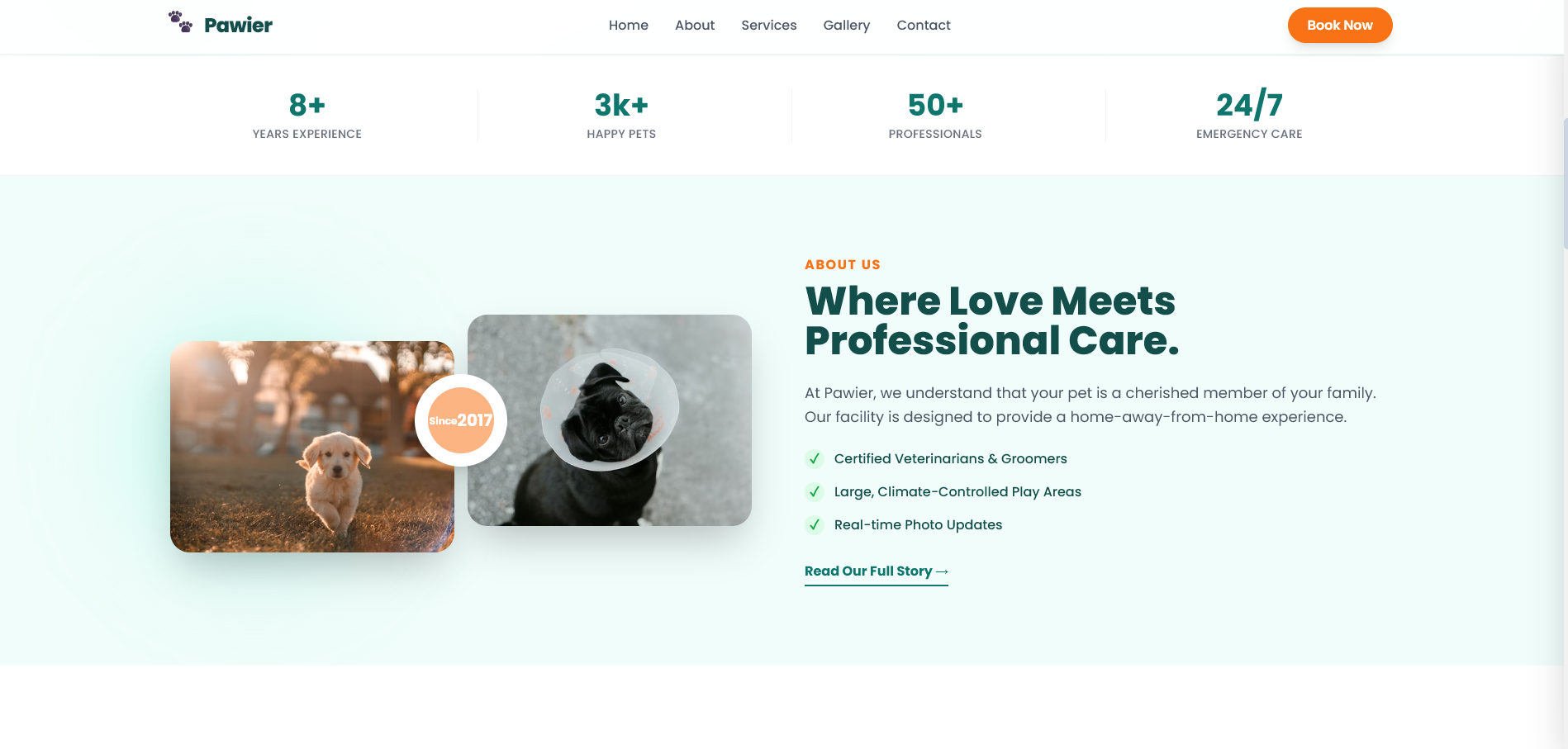 Pawier pet shop website design